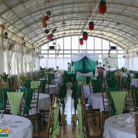 Island Tropic Hotel And Restaurant Аламінос Екстер'єр фото
